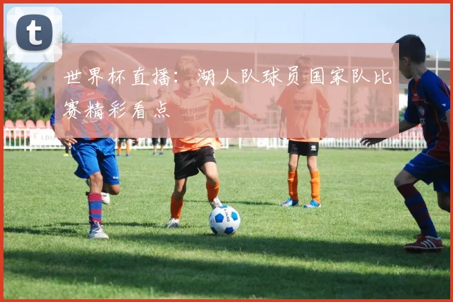 世界杯直播:湖人队球员国家队比赛精彩看点