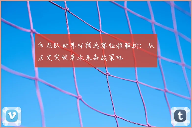 印尼队世界杯预选赛征程解析：从历史突破看未来备战策略
