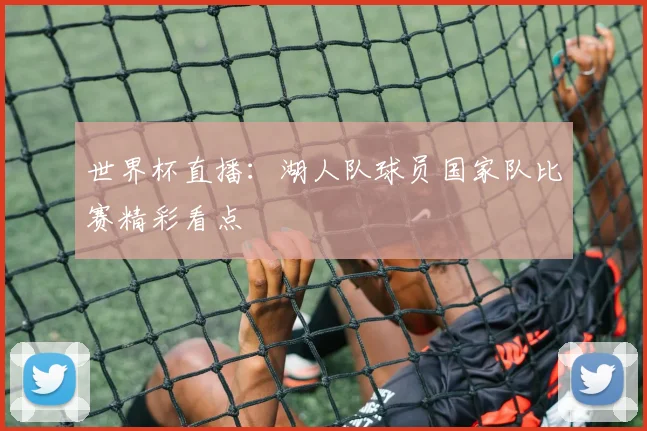 世界杯直播：湖人队球员国家队比赛精彩看点